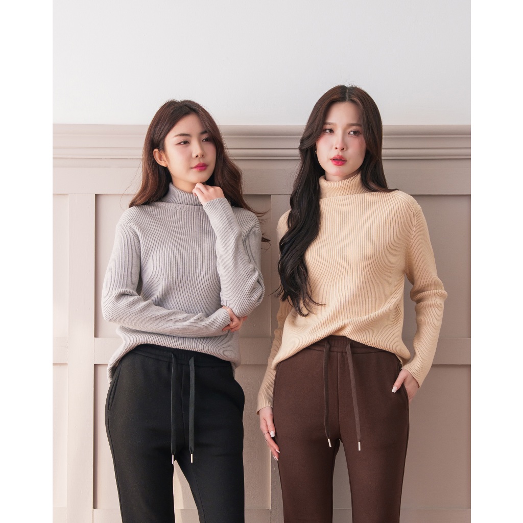 S120 - Basic turtle neck sweater