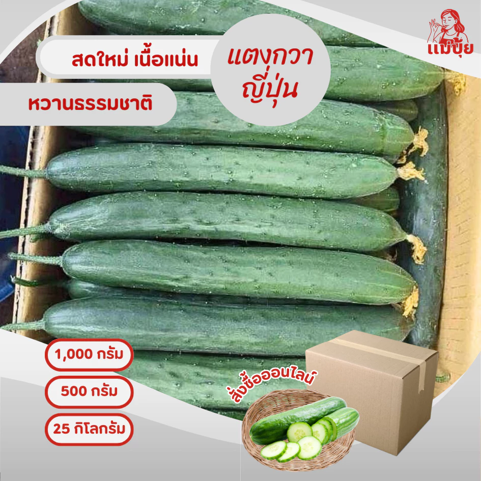 แตงกวาญี่ปุ่น (Japanese cucumber) #แม่ปุ้ยต้นยาว สดกรอบ