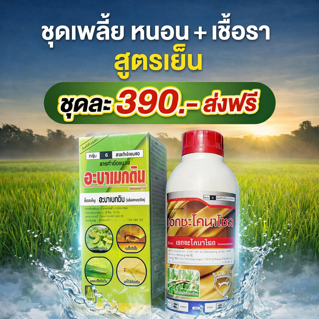 ชุดจัดการเพลี้ย หนอน +เชื้อรา (อะบาเมกติน+เฮกซะโคนาโซล แมวทองคำ) สูตรเย็นทั้งคู่  1 ชุดพ่นได้ 10 ไร่ ใช้ได้ทุกพืช