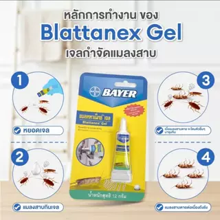 ส่งด่วน🎯 Bayer เจลกำจัดมด / เจลกำจัดแมลงสาบ 12 กรัม เบเยอร์ เหยื่อ กำจัดมด กำจัดแมลงสาบ