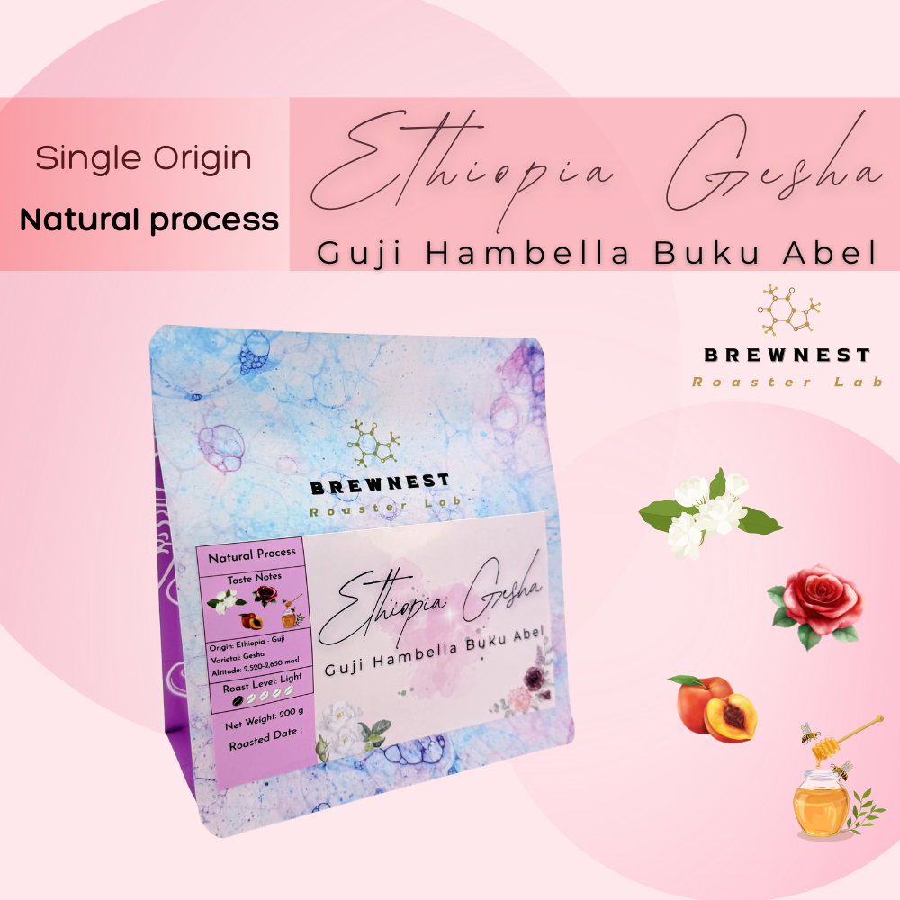 เมล็ดกาแฟคั่วอ่อน Ethiopia Gesha Guji Hambella Buku Abel Natural Light Roast | BrewNest Roaster Lab