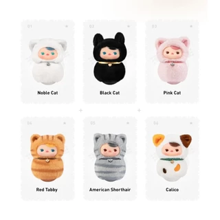 🔥1 กล่องเล็ก🌈 Pucky Roly Poly Kitten พร้อมส่งในไทย🔥 ของแท้ มีหน้าร้าน💛