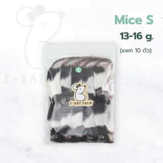 หนูแช่แข็ง Mice NB–XXL แพค 10 ตัว | E-Rat Farm อาหารงูขายมานาน7 ปี