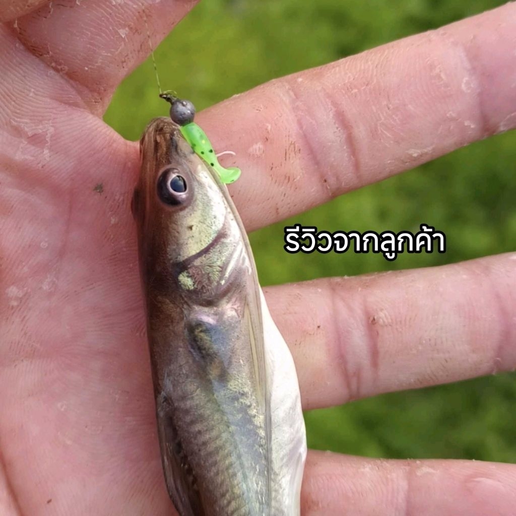 Thumbnail 7