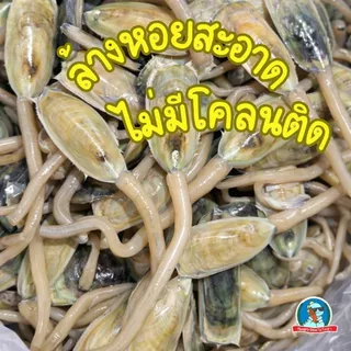 หอยรากดองน้ำปลา (หอยปากเป็ด) สดจากธรรมชาติ 350กรัม 🦪 ดองใหม่ตามฤดูกาล พร้อมทาน