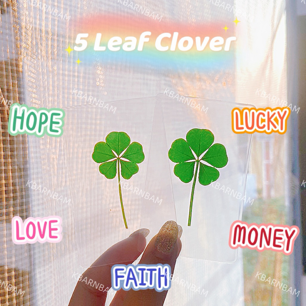 ส่ง 20 เมย🍀🇰🇷การ์ดใบโคลเวอร์ 5 แฉก Leaf Clover ของแท้ จากเกาหลี
