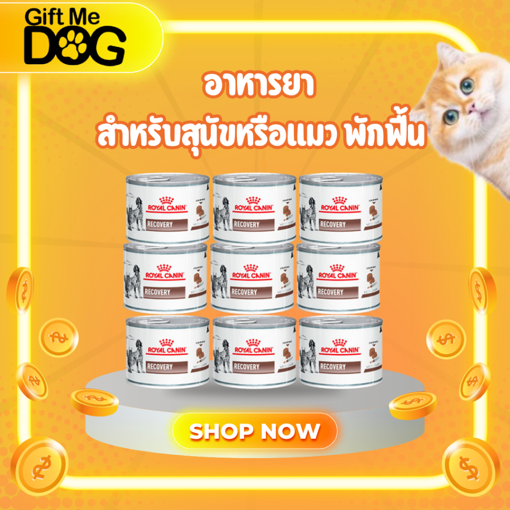 อาหารยาRoyal Canin Recovery อาหารเปียกสัตว์ป่วย หรือพักฟื้นหลังผ่าตัด 1 โหล/12กระป๋อง