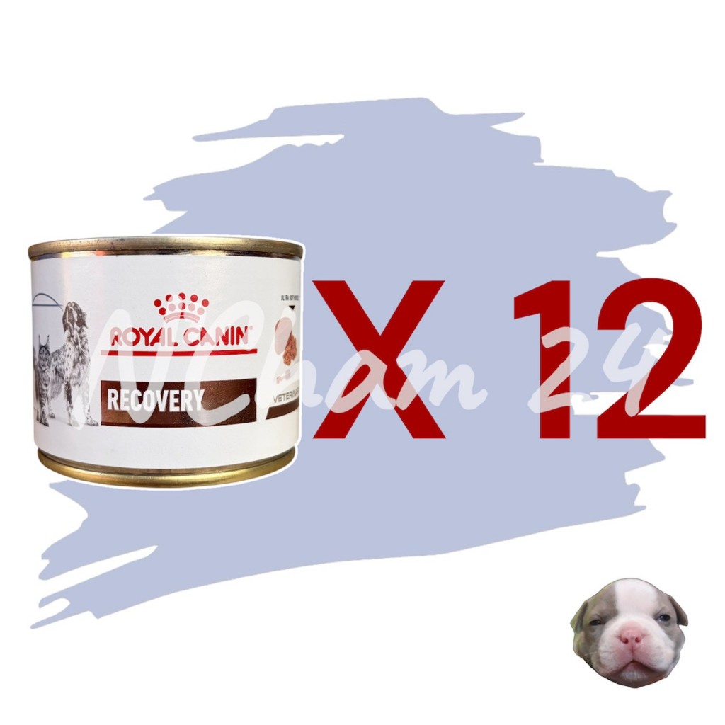 โปรดอ่านก่อนสั่ง Royal Canin Recovery บรรจุ 195g 12 กระป๋อง อาหารสัตว์ป่วย หรือพักฟื้น สุนัข และแมว