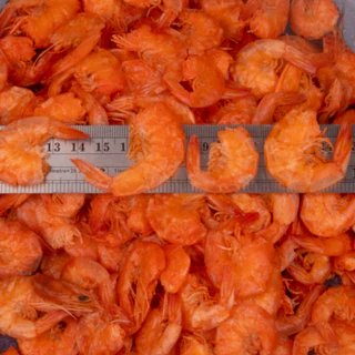 กุ้งบางจืด(คละไซซ์) ติดเปลือก ตัวแบน