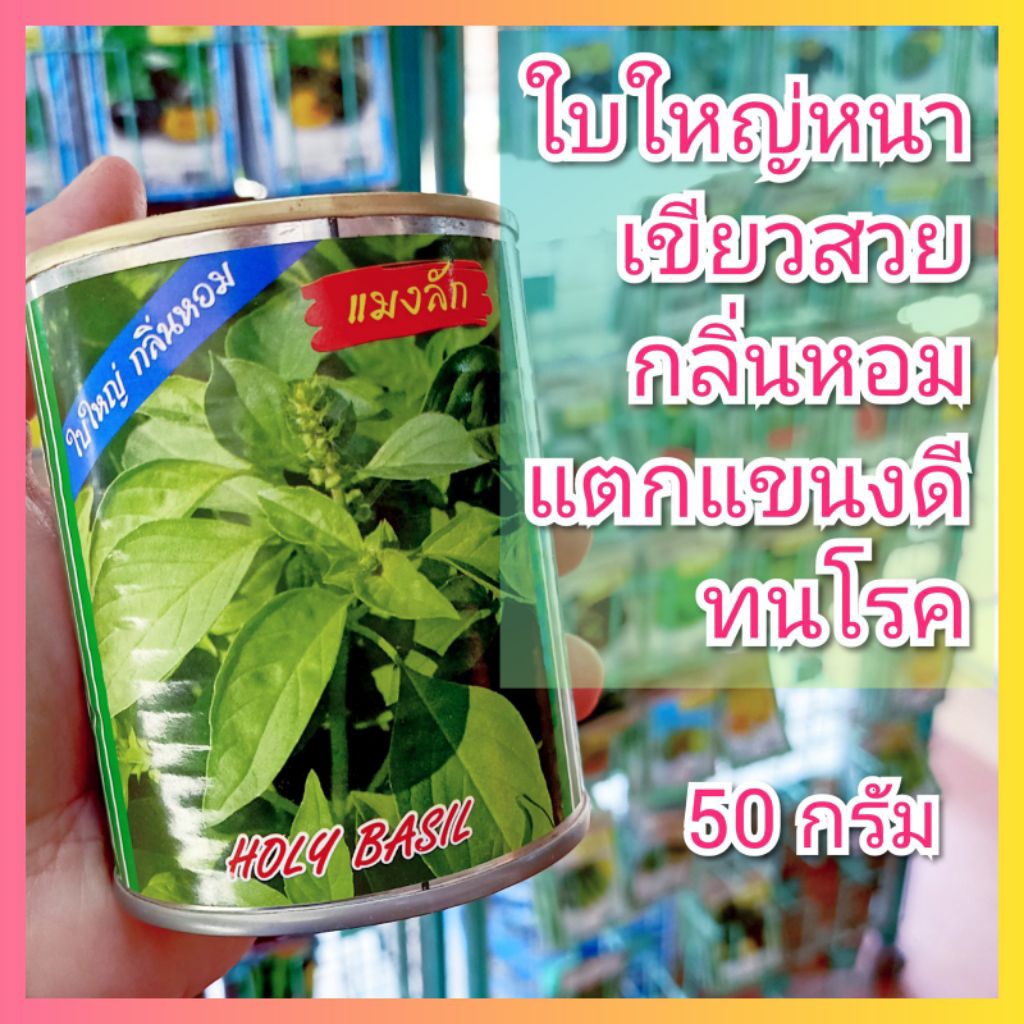 เมล็ดพันธุ์ แมงลัก 50 กรัม ตราปลาทอง เมล็ดแมงลัก เม็ดแมงลัก