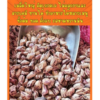 เมล็ดพันธุ์ ถั่วลายเสือ เมล็ดแห้ง 1 กก. ปลูกได้ งอกดี แปรรูปทำอาหารได้