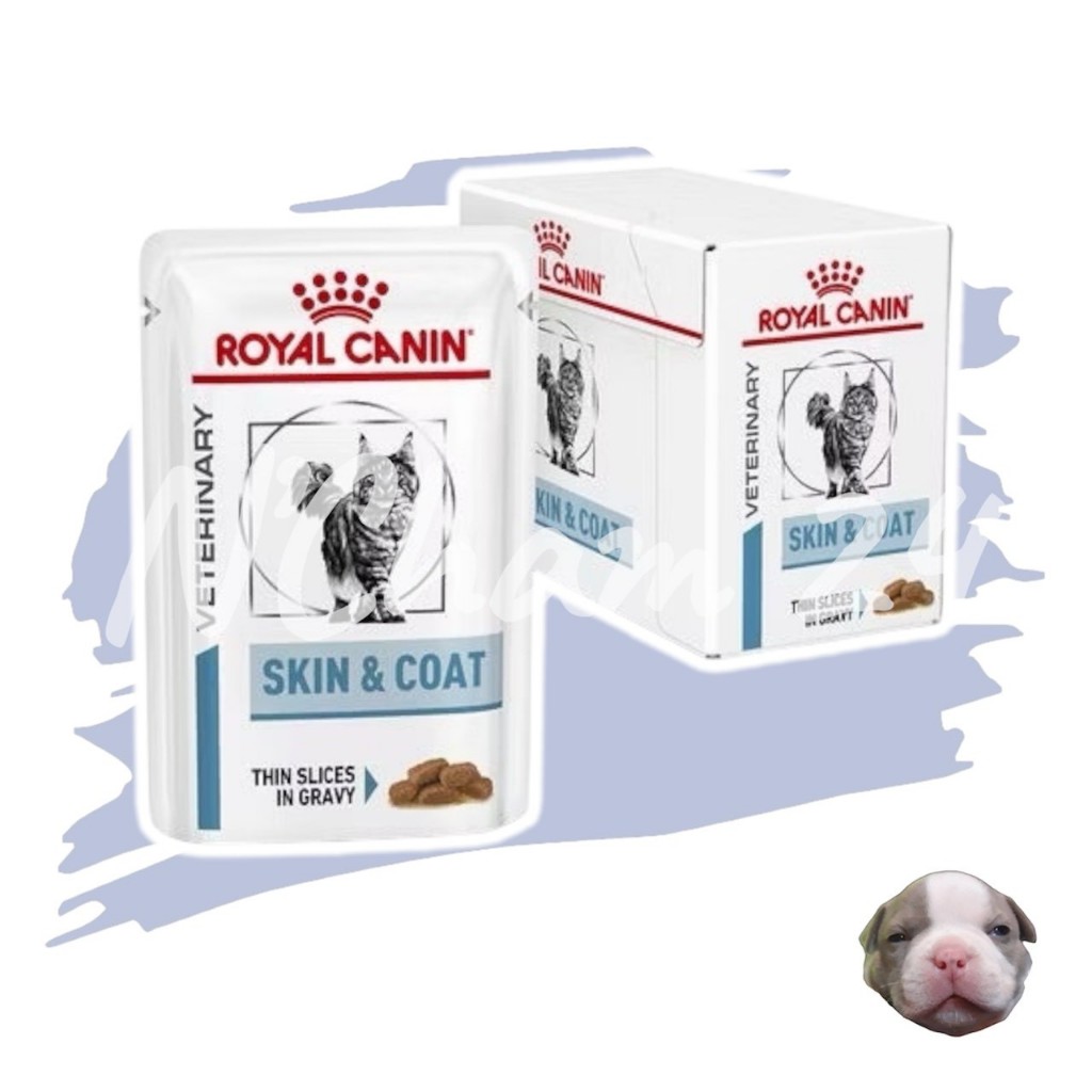 Royal Canin Skin & Coat บรรจุ 12 ซอง อาหารเปียกสำหรับแมวผิวแพ้ง่าย บำรุงเส้นขนและเสริมความแข็งแรง