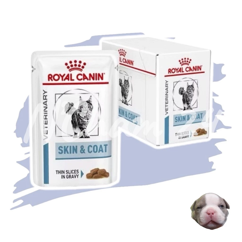 Royal Canin Skin & Coat บรรจุ 12 ซอง อาหารเปียกสำหรับแมวผิวแพ้ง่าย บำรุงเส้นขนและเสริมความแข็งแรง