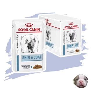 Royal Canin Skin & Coat บรรจุ 12 ซอง อาหารเปียกสำหรับแมวผิวแพ้ง่าย บำรุงเส้นขนและเสริมความแข็งแรง