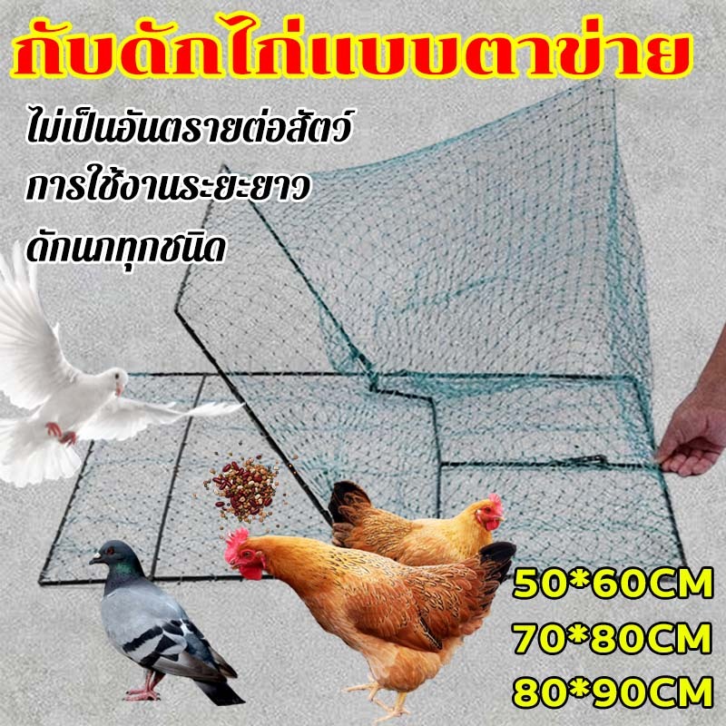 กับดักไก่และกับดักนก เซนสปริงดี ที่ดักไก่ป่า กับดักไก่และกับดักนก