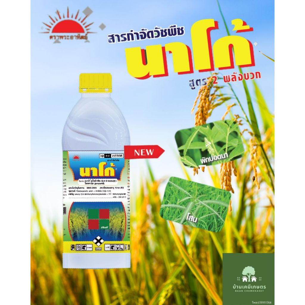 นาโก้ 1ลิตร กำจัดวัชพืชใบกว้าง ในนาข้าว