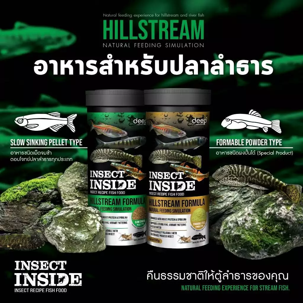 Deep Insect Inside Hillstream อาหารปลาลำธารสูตรพิเศษ โปรตีนจากธรรมชาติ ด้วยส่วนผสมของจิ้งหรีด
