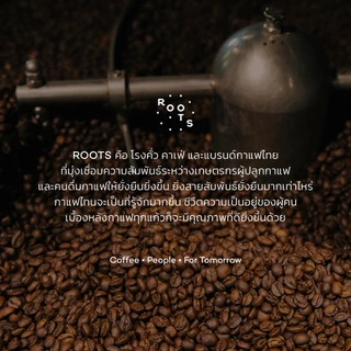 Roots Coffee เมล็ดกาแฟ แสนชัย คั่วกลาง เหมาะสำหรับชงแบบ Espresso, Moka Pot, Drip, French Press, Cold Brew, AeroPress