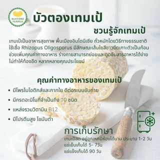 tempeh Fresh original วีแกน เจ มังสวิรัติ เทมเป้ สด รสชาติ ดั้งเดิม