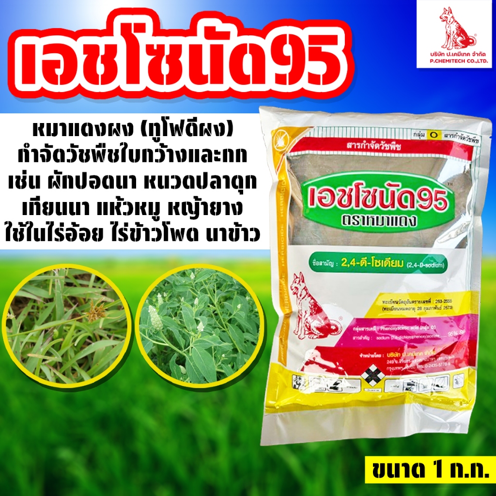 หมาแดงผง ขนาด 1 ก.ก. เอชโซนัด95 ยากำจัดหญ้าใบกว้าง ตราหมาแดง (2,4 ดี โซเดียมซอลท์)