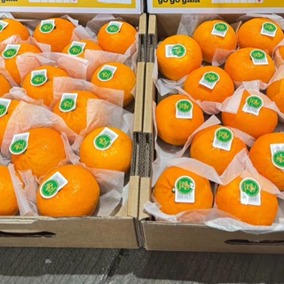 🍊ส้มไต้หวัน 1 กิโลกรัม ลูกสวย คัดพรีเมี่ยมรสชาติติดอับดับ อร่อยมากเนื้อหวานฉ่ำ ทานแล้วสดชื่นมาก