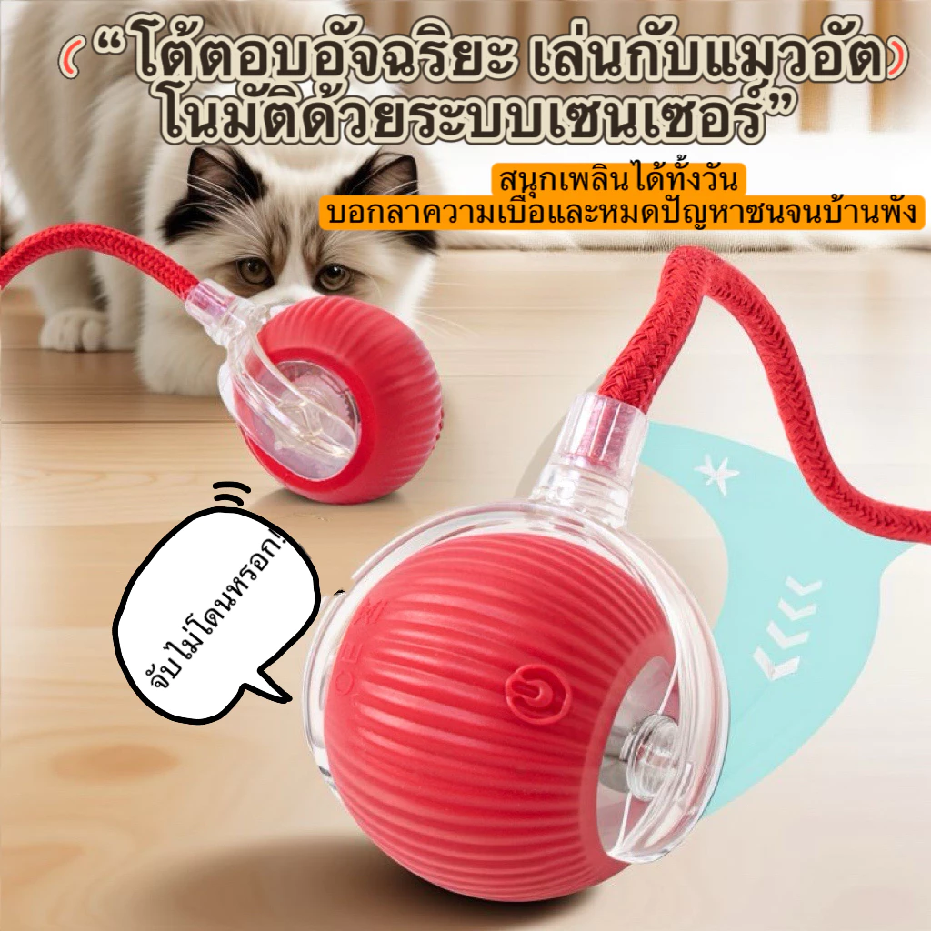 ลูกบอลแมว บอลแมวอัตโนมัติ ชาร์ตแบตได้ ของเล่นแมว สมาร์ทไฟฟ้า หมุนได้ ของเล่นแมวโต้ตอบ หมุนได้ โต้ตอบ 360