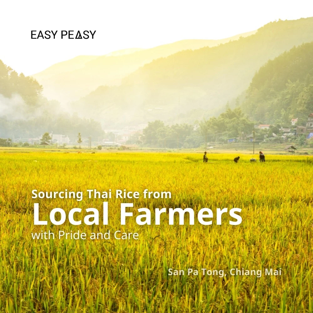 1 ซอง - Easy Peasy ขนมโปรตีนอบกรอบ มีโปรตีน 15g, 160 kcal/ซอง (ไม่ทอด) No added MSG [ขนมทานเล่น โปรตีนพืช] thumbnail 4