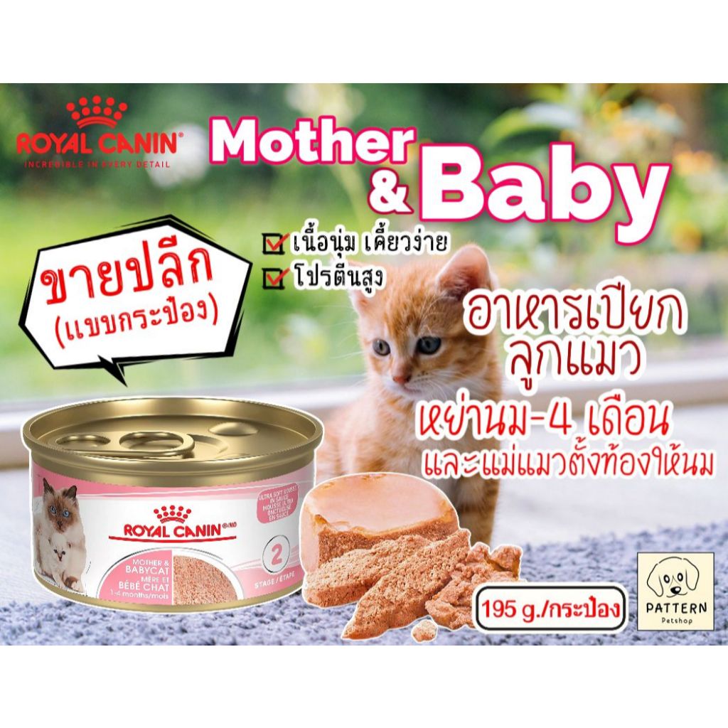 (ขายปลีกแบบกระป๋อง) Royal Canin Mother & Baby cat อาหารเปียกสำหรับลูกแมวช่วงหย่านม-4 เดือนและแม่แมวตั้งท้องให้นมลูก