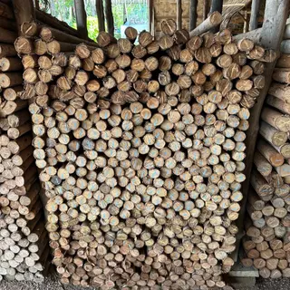 ชุดค้ำต้นไม้ DIY ไม้ขนาด 1.5 นิ้ว สูง 1 เมตร พร้อมตะปู สำหรับต้นไม้สูง 1.5 เมตร ขึ้นไป