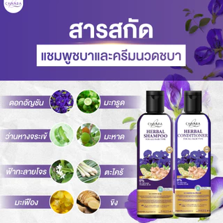 [แชมพู1+ครีมนวด1] สูตรบำรุงหนังศีรษะ แชมพูครีมนวดจากแบรนด์ Chaaba ร้านเจ้าของแบรนด์ ของแท้จัดส่งฟรี