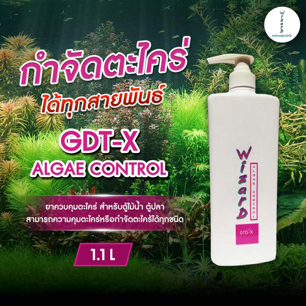 ยาฆ่าตะไคร่ ขวด 1.1 ลิตร WiIZARD  ALGAE CONTROL GTD-X
