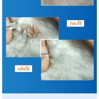💊อ่อนโยน ไม่แสบ🐱สเปรย์สมานแผลสำหรับสัตว์เลี้ยง สเปรย์พ่นแผล สเปรย์นาโน ดูแลแผลไว ใช้ได้ทั้งแมวหมา ปลอดภัยเลียได้