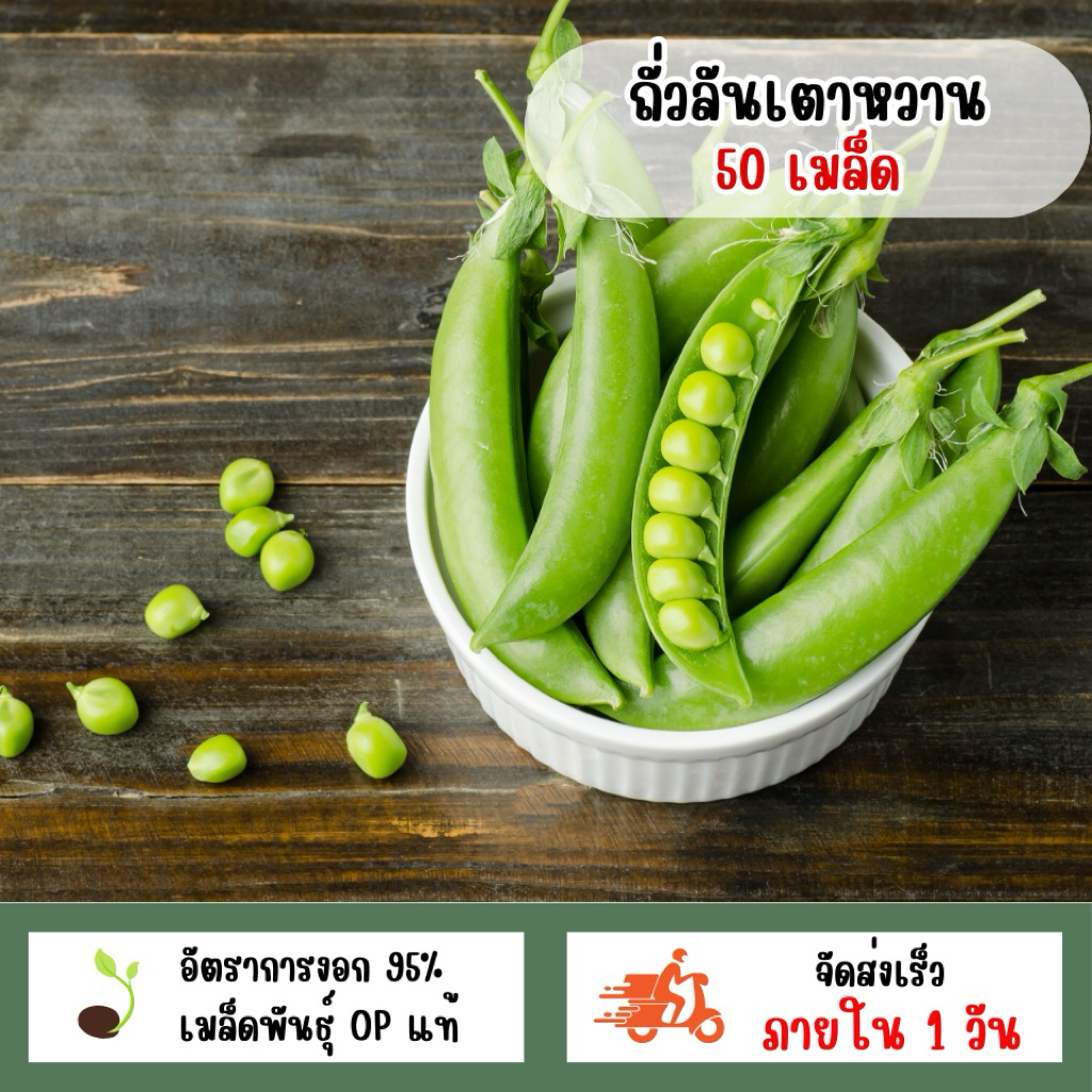 เมล็ดพันธุ์ถั่วลันเตาหวาน 50 เมล็ด