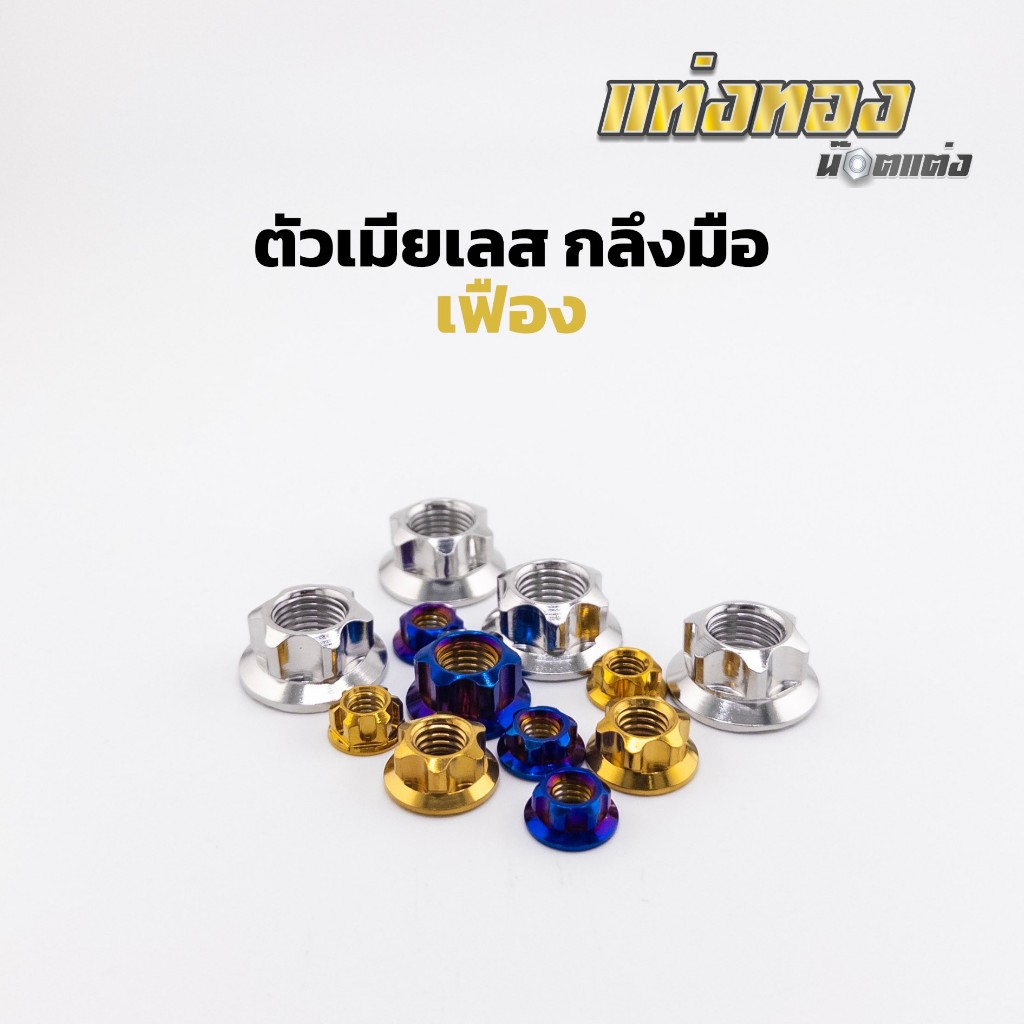 น็อตตัวเมีย ตัวเมียเลส ตัวเมียเฟือง เบอร์ 10,12,14,17,19 น๊อตตัวเมีย สแตนเลส(หัวเฟือง) ราคาตัวละ