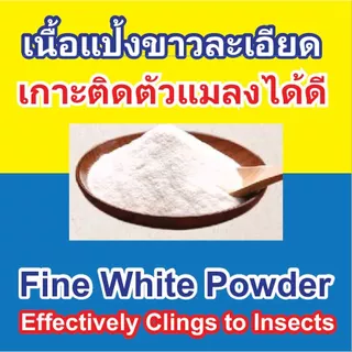 ดินเบา (Diatomaceous Earth) กำจัดและป้องกัน เรือด ไร ปลวก มด แมลงสาบ เห็บ หมัด ด้วยอินทรีย์ธรรมชาติ 100%