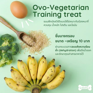 Vegetarian Chips บิสกิตผัก ขนมสุนัข มังสวิรัติ ขนมหมา 50/100g Dehydrated Dog Treat by Lulu & Co