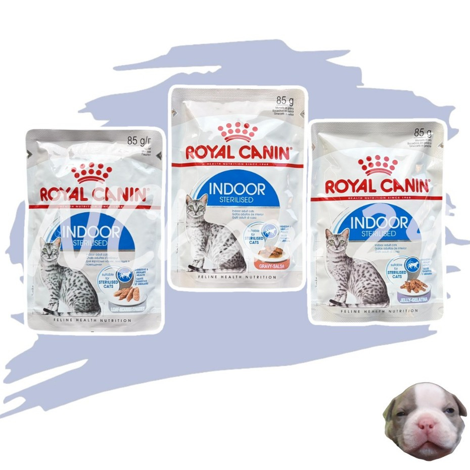 Royal Canin Indoor Pouch  บรรจุ 12 ซอง อาหารเปียกแมวโต เลี้ยงในบ้านและทำหมัน อายุ 1 ปีขึ้นไป