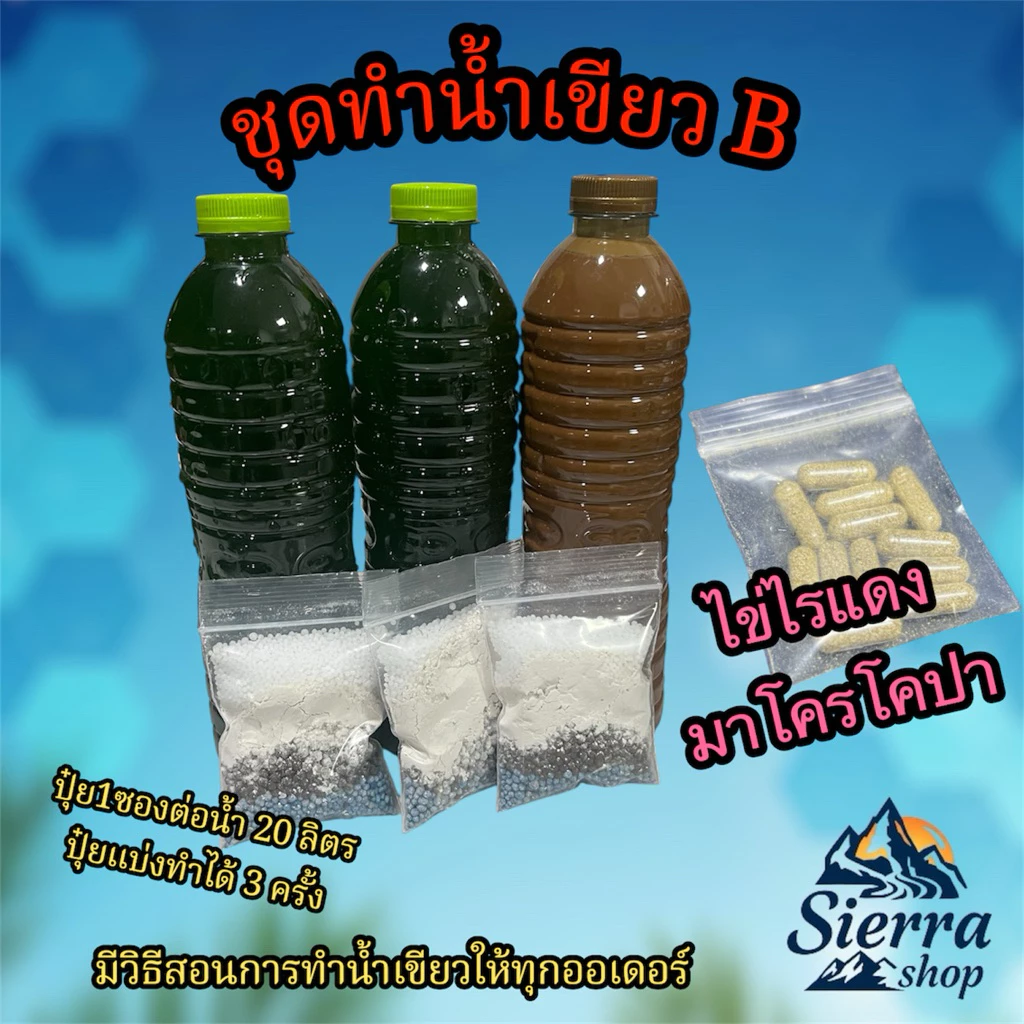 ชุดทำน้ำเขียว Set B พร้อมปุ๋ยขยายได้60ลิตร หัวเชื้อน้ำเขียวสาหร่ายคลอเรลลา ไข่ไรแดงมาโคร