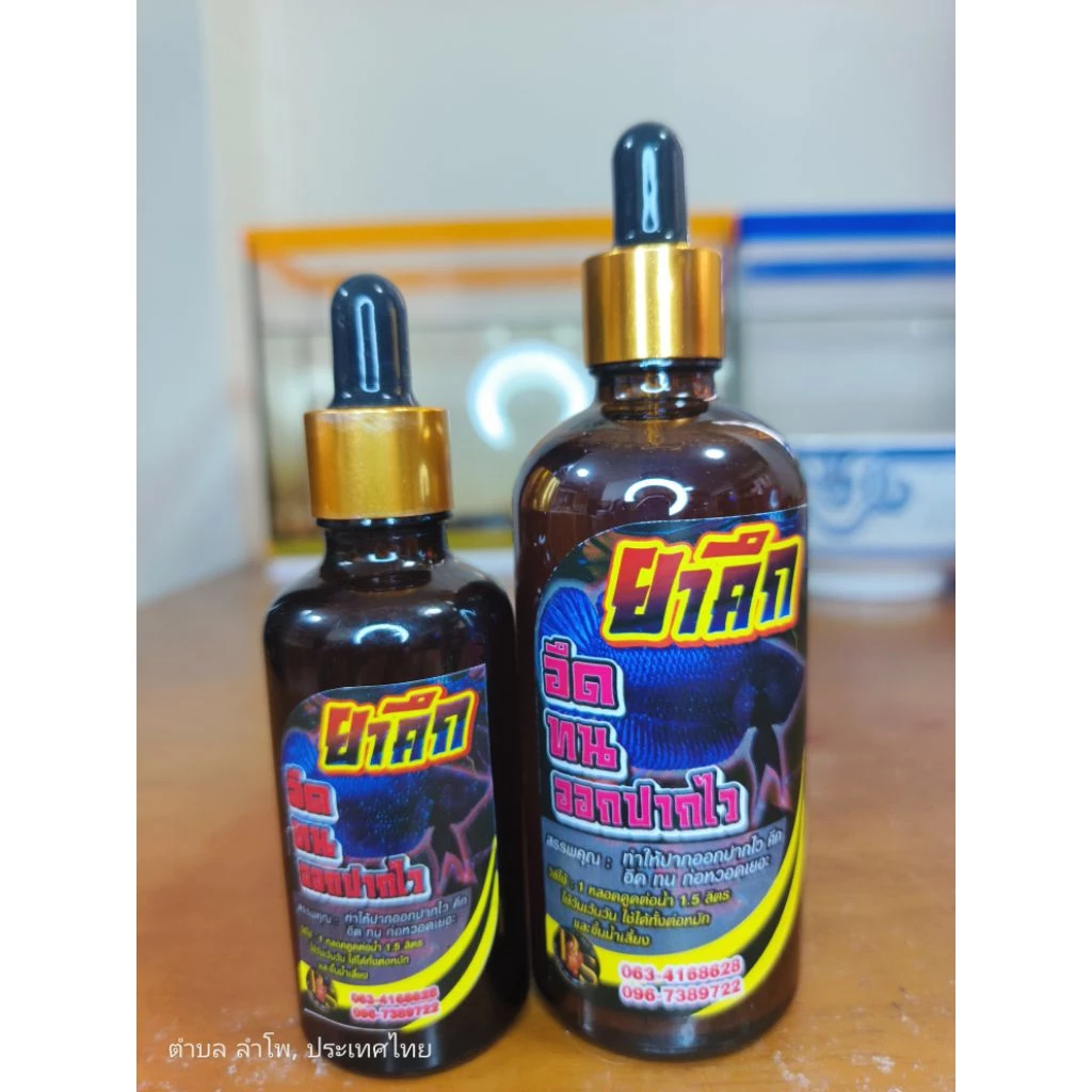 อุปกรณ์เลี้ยงก่อนออกกัด คึก ออกปากไว หนังเหนียว