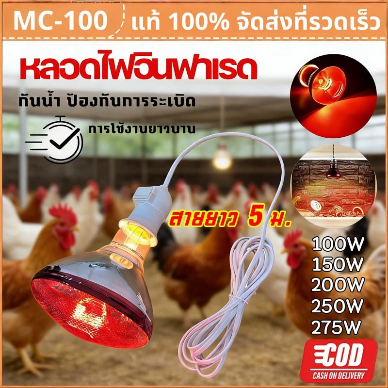 【HS】จัดส่งฟรี! ไฟกกสัตว์ ขั้ว E27 100W/275W ร้อนเร็ว กระจายความร้อนดี หลอดไฟอินฟาเรด กันระเบิด กกไก่/สุนัข ปลอดภัย คุณภา