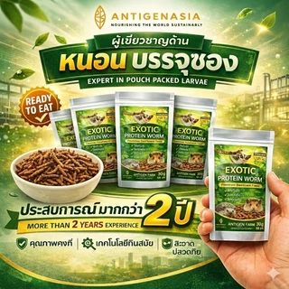 หนอนนก EXOTIC PROTEIN WORM สเตอริไลซ์ ฆ่าเชื้อ แบบต้ม เก็บได้1ปี ไม่ต้องแช่เย็น เหมาะสำหรับ ชูการ์ แม่นแคะ สัตว์ฟันแทะ