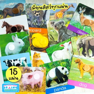 BrainyToys แฟลชการ์ดเพื่อนสัตว์ขนนุ่มขนฟู มีขนสัตว์ทุกแผ่น พร้อมคำศัพท์ 3 ภาษา ฝึกเขียนได้ (15 แผ่น)
