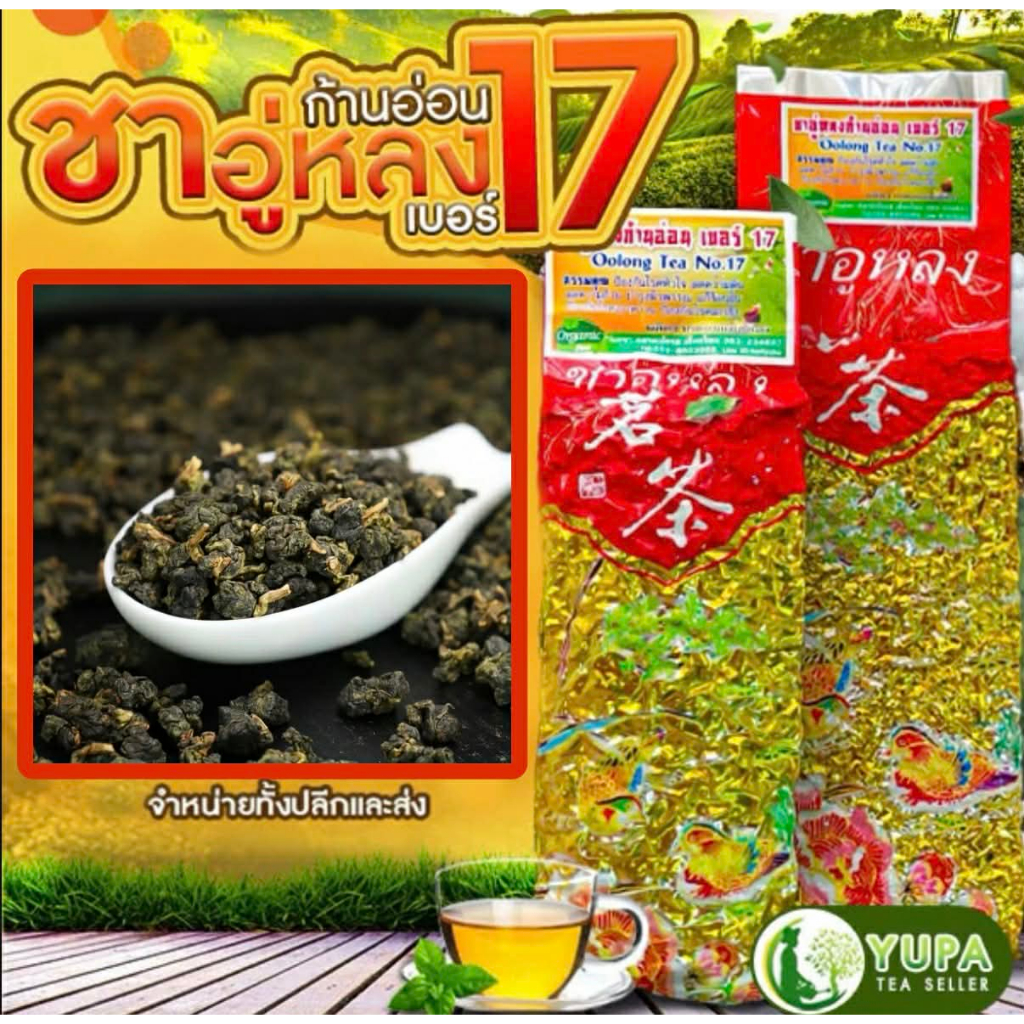 ชาอู่หลงก้านอ่อน เบอร์17 และเบอร์12 ยอดชาคุณภาพดี ของไทย ออร์แกนิก