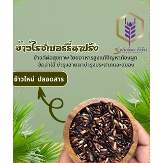 ข้าวไรซ์เบอรี่นาปรัง กระสอบ 5 กิโลกรัม ข้าวอ่อน ข้าวนิ่ม ข้าวใหม่ ข้าวเพื่อสุขภาพ