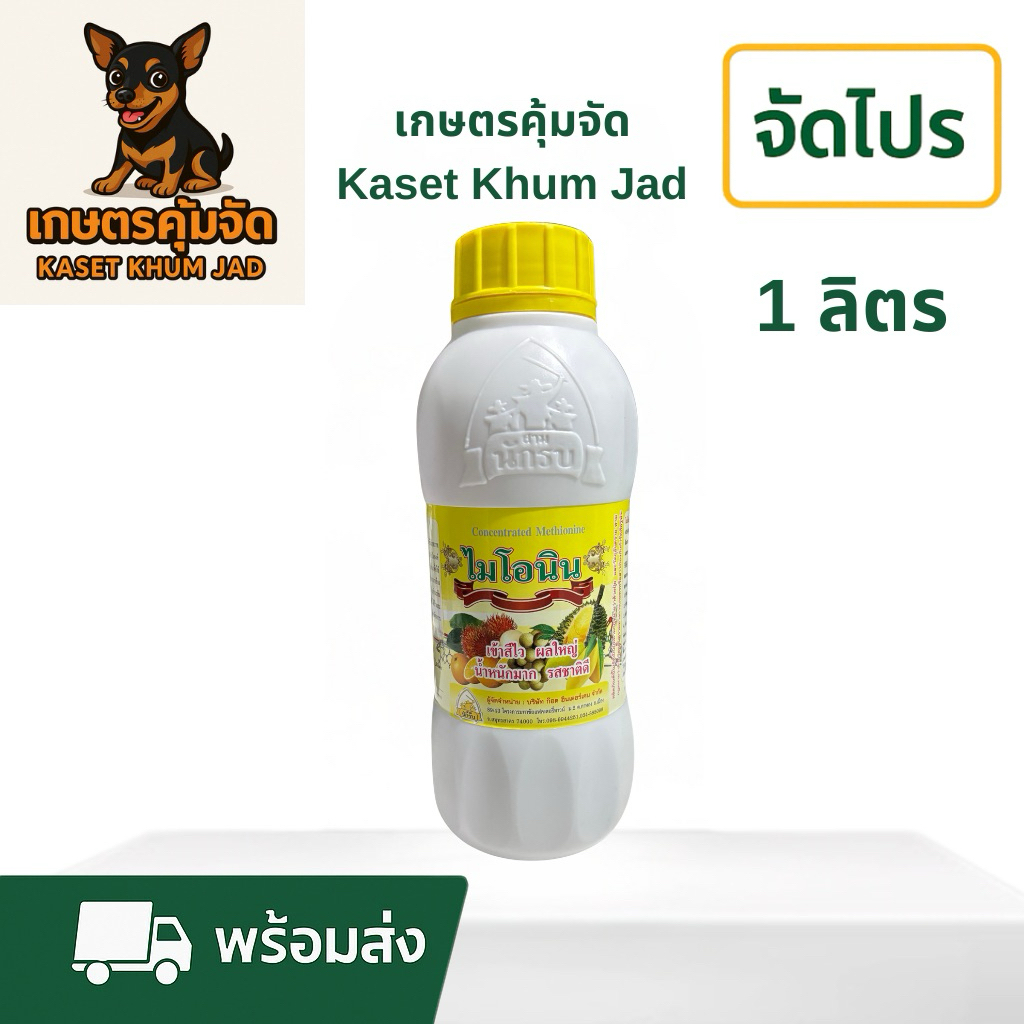 ไมโอนิน Methionine 50% เข้าสีไว ผลใหญ่ น้ำหนักมาก รสชาติดี เร่งผลทุเรียน มะม่วง ลำไย บำรุงผลไม้ 1 ลิตร