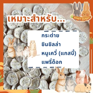 Binky Bunny House ผักและผลไม้อบแห้ง (Dried Fruits and Vegetables) ขนมอบแห้งสำหรับสัตว์ฟันแทะ