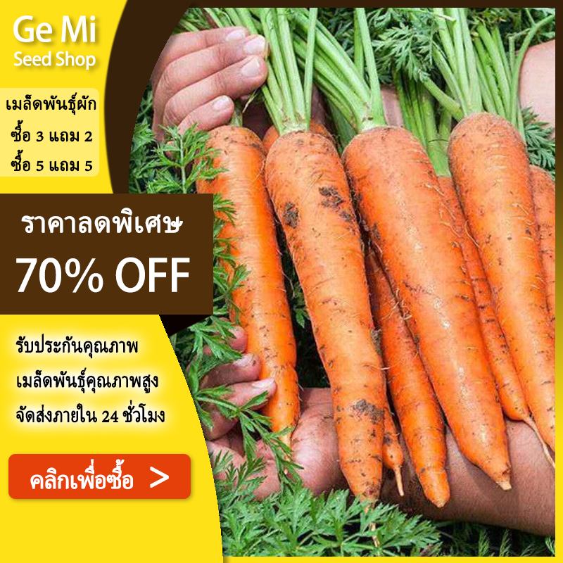 GEMI เมล็ดพันธุ์แครอทคุณภาพ 1,000 เมล็ด (บรรจุใหญ่) | ปลูกง่าย โตไว