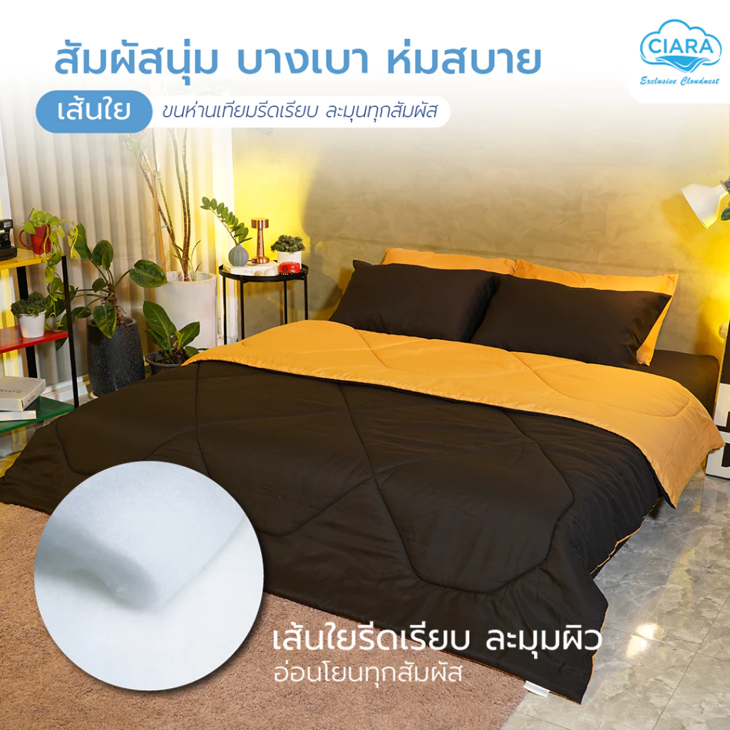 CIARA Bedding ชุดผ้าปูและผ้านวมทูโทน สีดำ/เหลืองมัสตาร์ด ผ้าไมโครเทคลินิน thumbnail 3