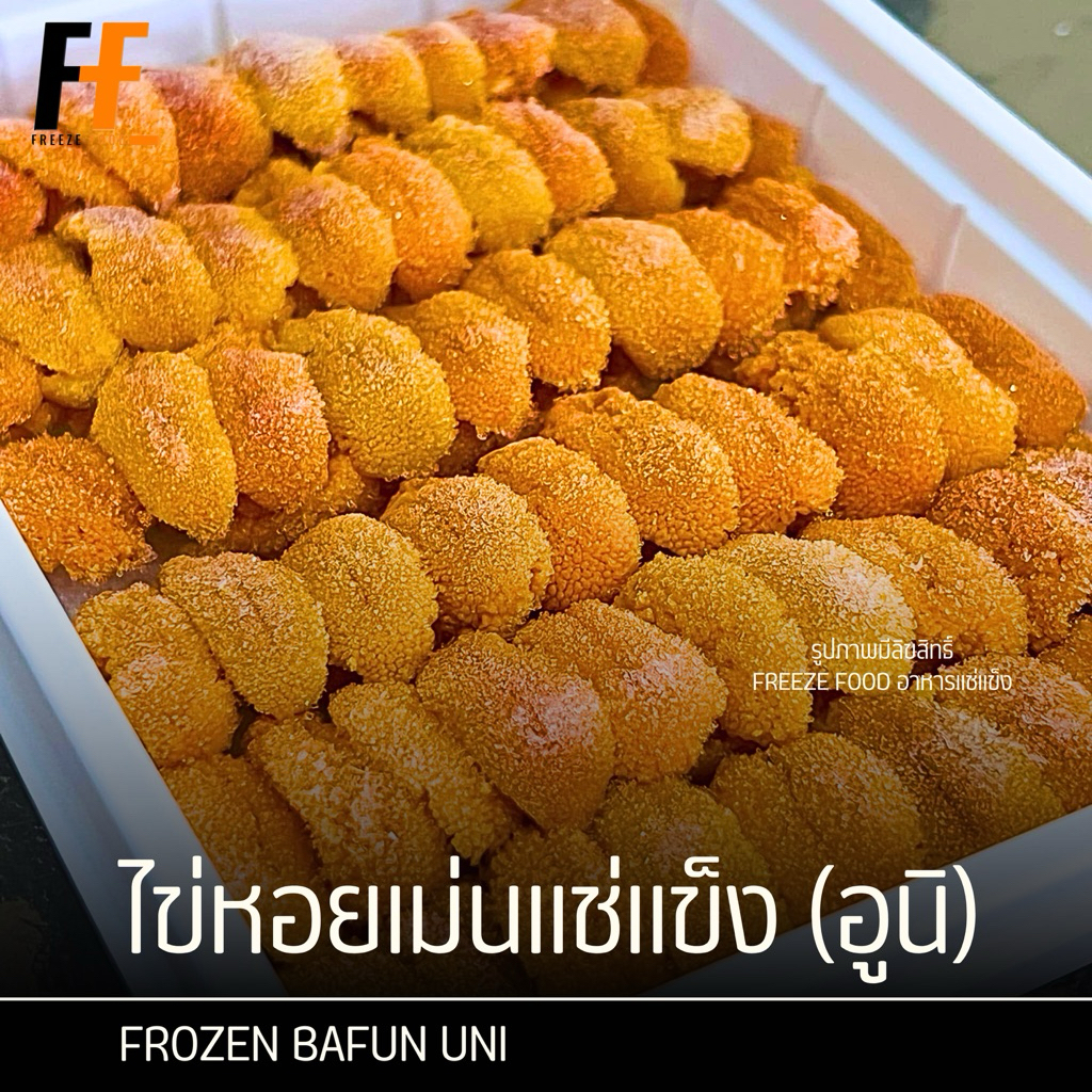 ไข่หอยเม่นแช่แข็ง (อูนิ) 100 กรัม | FROZEN BAFUN UNI