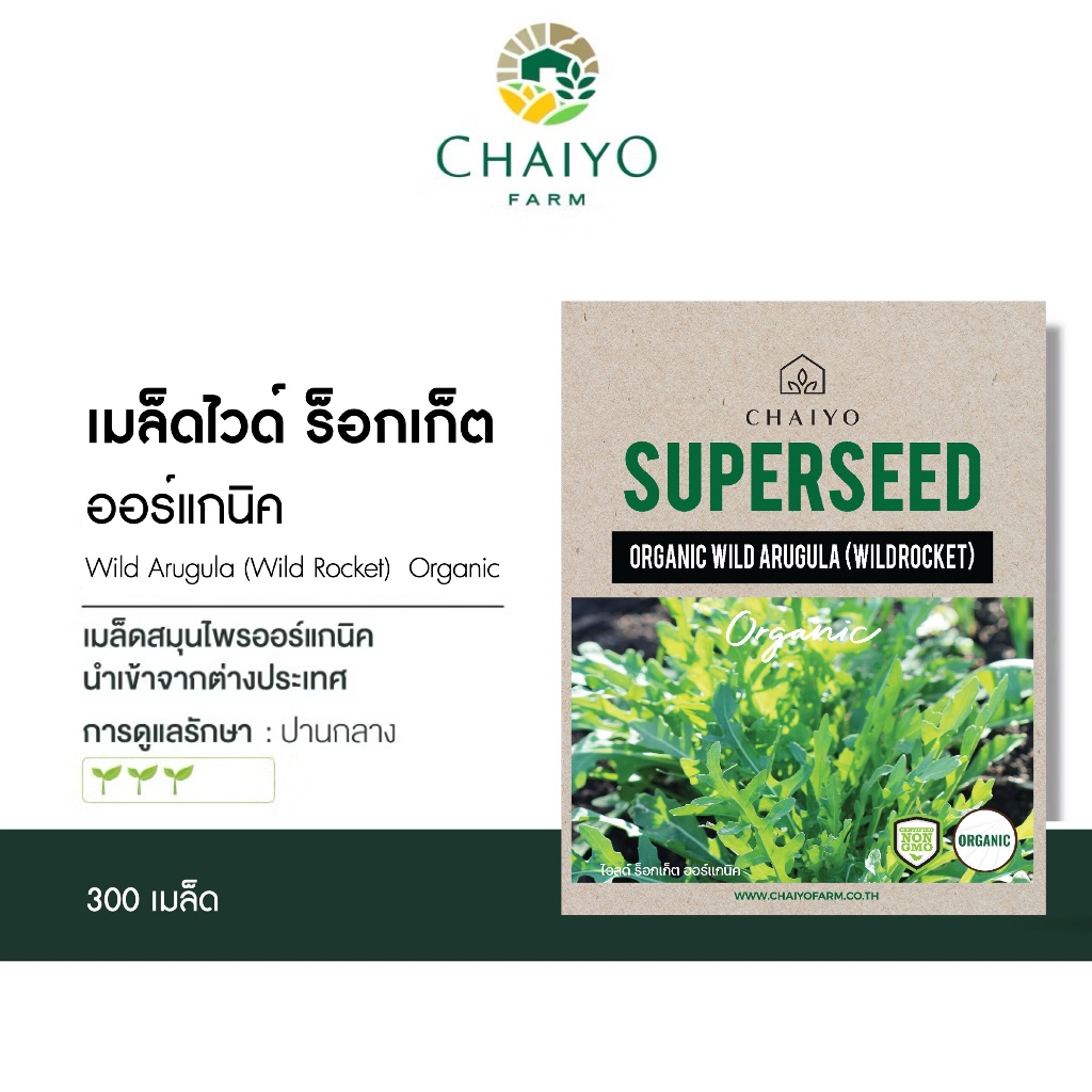 เมล็ด WILD ARUGULA (Wild Roquette) organic seed ไวลด์ ร็อกเก็ต ออร์แกนิค